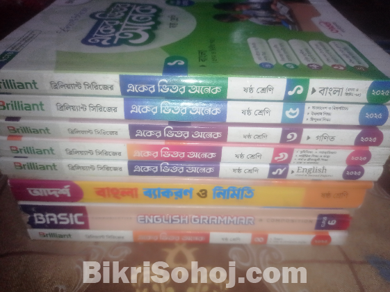 Class 6 brilliant guide full set